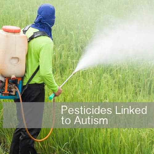Study: Pesticides Linked to Autism