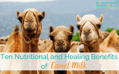 Ten Nutritional & Healing Benefits of Camel Milk